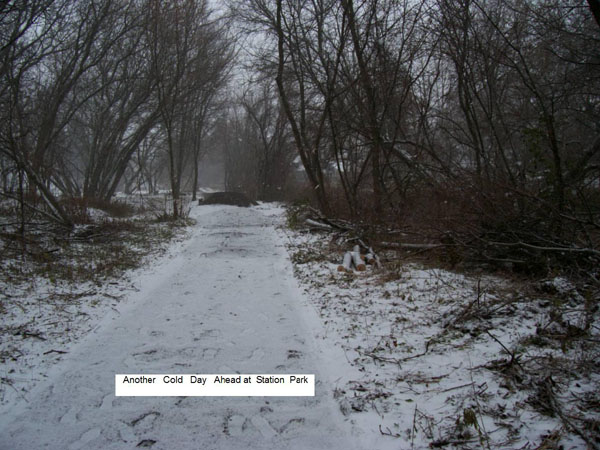 The Trail in Winter