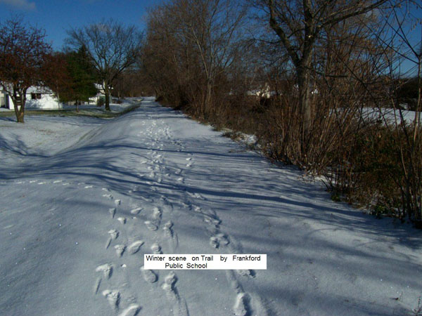 The Trail in Winter