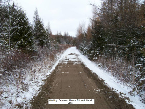 The Trail in Winter