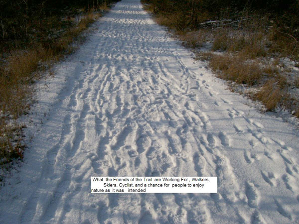 The Trail in Winter