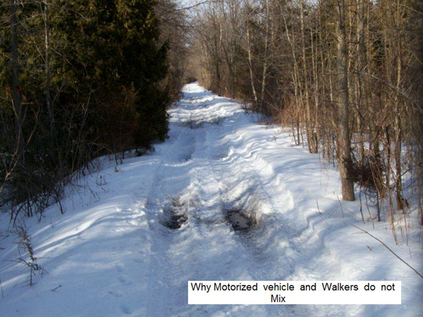 The Trail in Winter