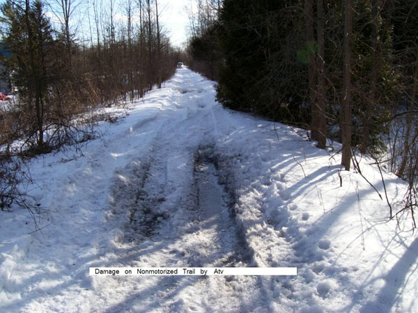 The Trail in Winter