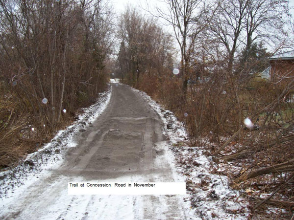 The Trail in Winter