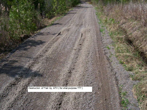 Repairing the Trail