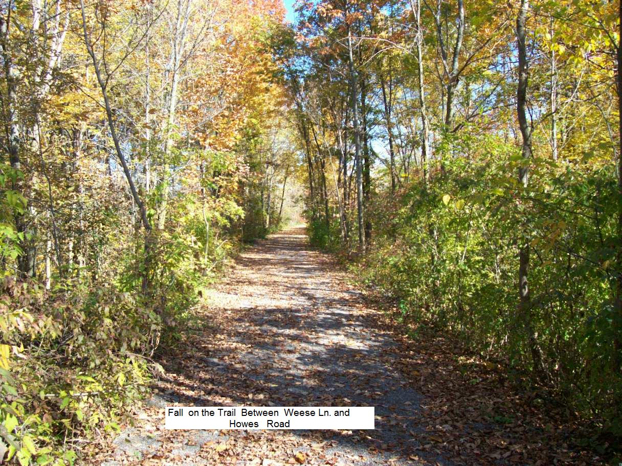 Repairing the Trail