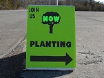 tree planting