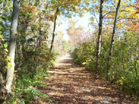 Friends of the Trail